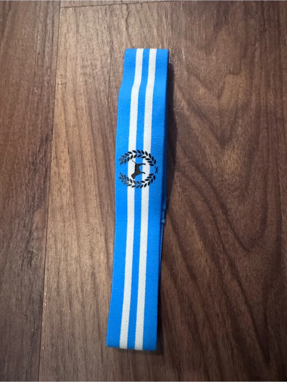 Blue Striped Athletic Headband
